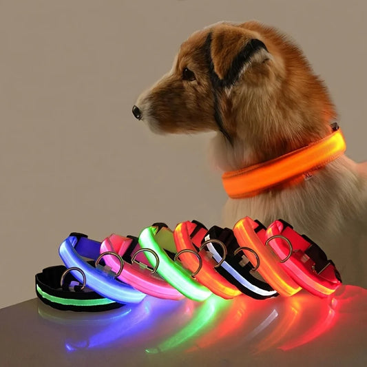 Rechargeable LED Dog Leash