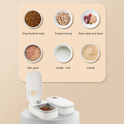 Smart Automatic Pet Feeder with Timer & Stainless Steel Bowl for Cats & Dogs