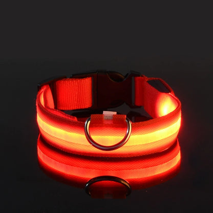 Rechargeable LED Dog Leash