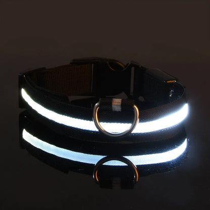 Rechargeable LED Dog Leash