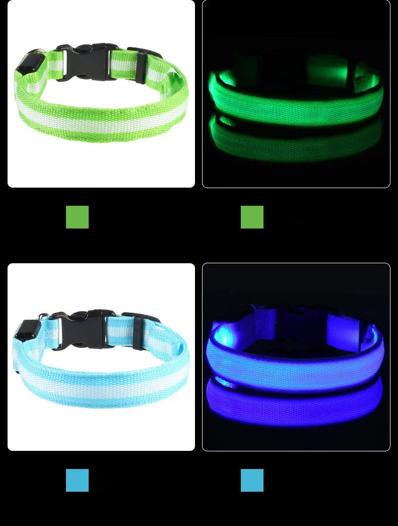 Rechargeable LED Dog Leash
