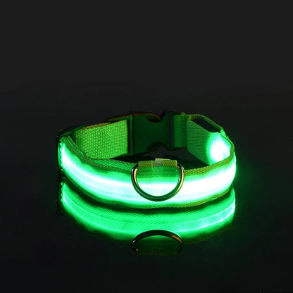 Rechargeable LED Dog Leash