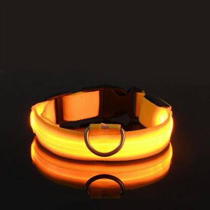 Rechargeable LED Dog Leash