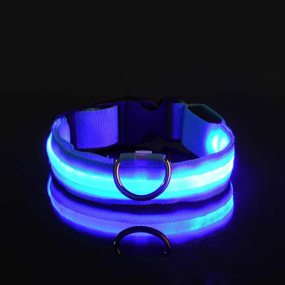 Rechargeable LED Dog Leash