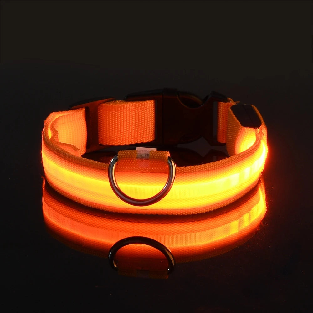 Rechargeable LED Dog Leash