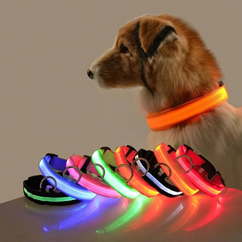 Rechargeable LED Dog Leash