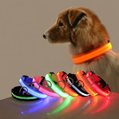 Rechargeable LED Dog Leash