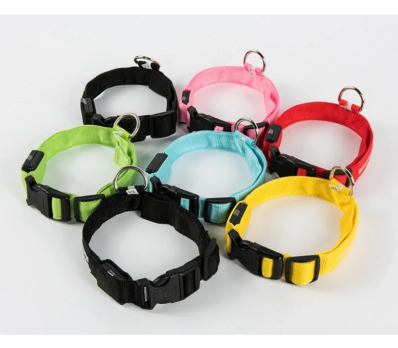 Rechargeable LED Dog Leash
