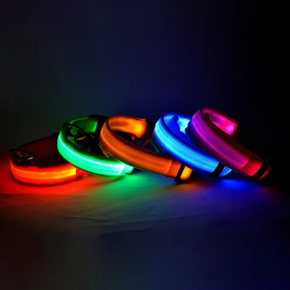 Rechargeable LED Dog Leash