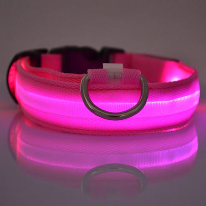 Rechargeable LED Dog Leash