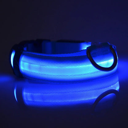 Rechargeable LED Dog Leash