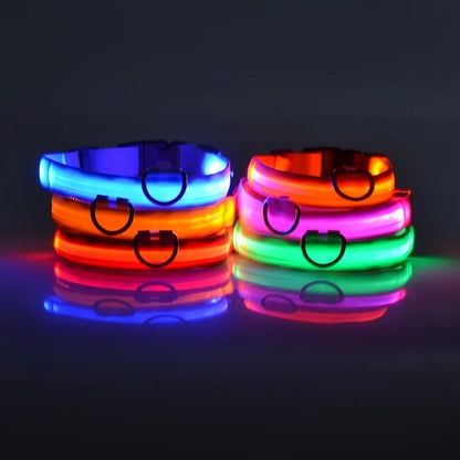 Rechargeable LED Dog Leash