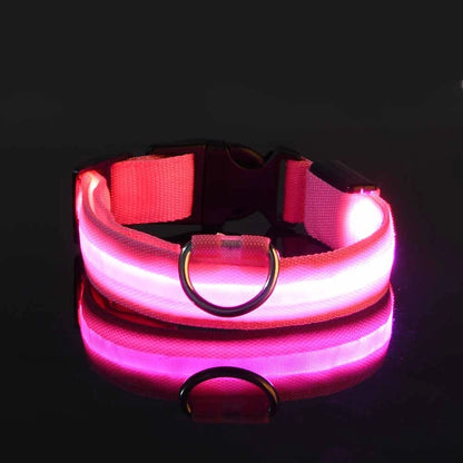 Rechargeable LED Dog Leash