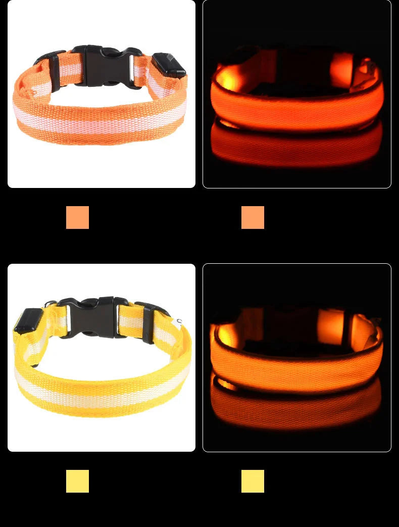 Rechargeable LED Dog Leash