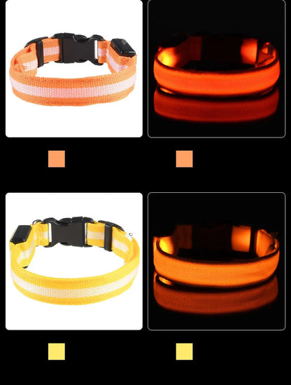 Rechargeable LED Dog Leash