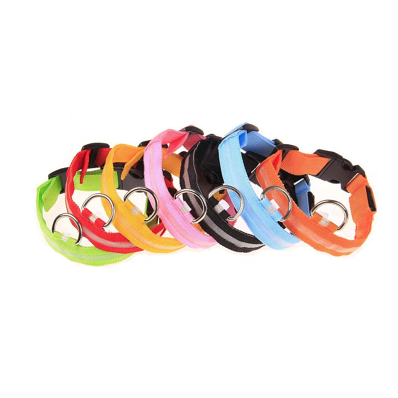Rechargeable LED Dog Leash
