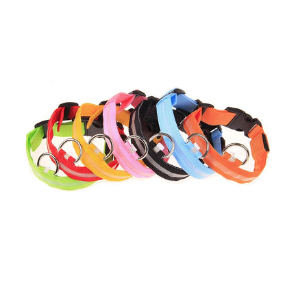 Rechargeable LED Dog Leash