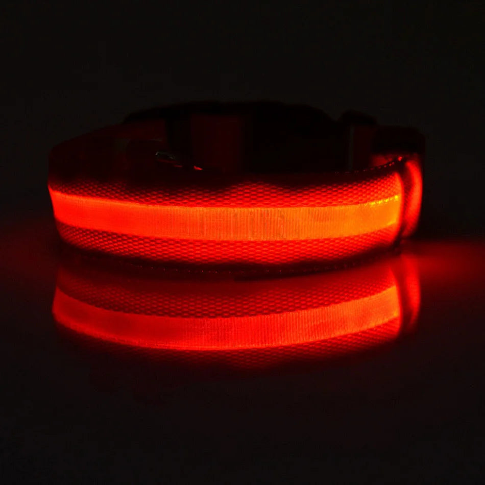 Rechargeable LED Dog Leash