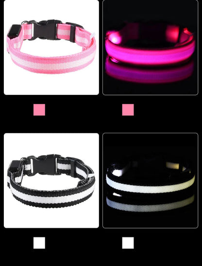 Rechargeable LED Dog Leash