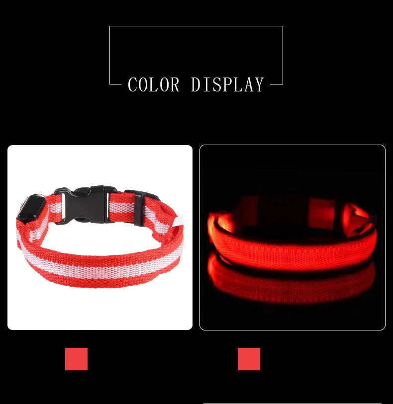 Rechargeable LED Dog Leash